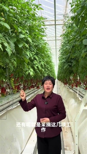 Revolutionize Farming: The Future of Smart Agriculture Unveiled SmartAgriculture TechFarmi