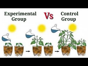 Experimental Group And Control Group | Chapter 2 | Biology Class 9th | Lec. 5