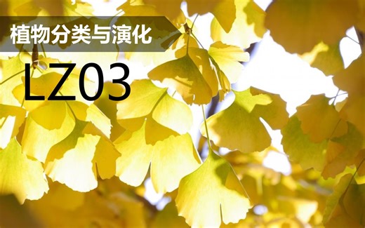 【植物分类与系统发育】LZ03 银杏形态与传粉受精