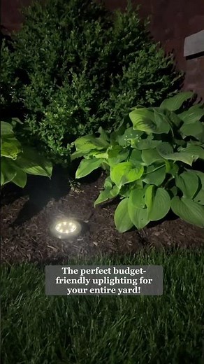 Solar Lighting Ideas To Transform Your Outdoor Space