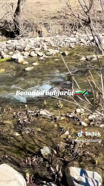 May God answer all your prayers, let us say Amen🙏💜…#tiktoktanzania🇹🇿 #fypツ #tiktoktanzania #goviral #fyp #bulgaria #water #river #forest #mountain