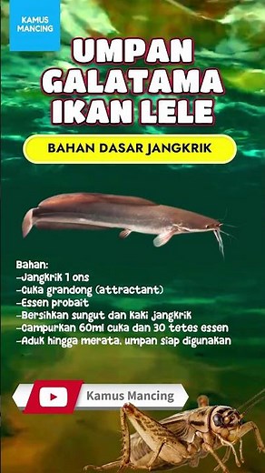 UMPAN GALATAMA IKAN LELE TERJITU BAHAN DASAR JANGKRIK