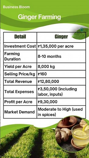 How to Earn Lakhs with Ginger Farming!