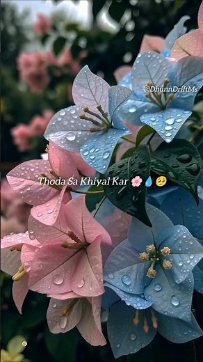 Jis Cheez Se Dard Mile - Lofi Lyrics Video | New Aesthetic Chill Mix 💔 #lofimusic #new #lofi