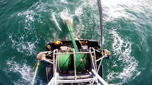 Here's how Finless Foods is trying to change the way we consume seafood