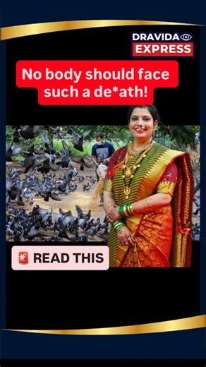 Dravida Express | News on Instagram: "Former Pune corporator Sham Mankar lost his daughter Sheetal Vijay Shinde to lung fibrosis caused by pigeon droppings. What began as a simple cough turned into a fatal lung disease — triggered by constant exposure to pigeon droppings near her home. Now, he’s on a mission to spread awareness about the hidden dangers of pigeons in urban areas. ☣️ Pigeon droppings dry up, turn to dust, and release spores that can infect our lungs when inhaled — leading to chron