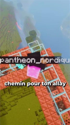 Comment faire une GRUE dans MINECRAFT !!