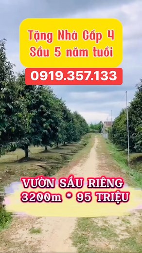 46K views · 297 reactions | 95 triệu 1000m2 có sẵn nhà. Rẻ chưa từng thấy alo em chốt ngay ạ #datngopgiare #sandatngop #datnen #datthocu #datvuon #datvuongiare #datvuonsaurieng #datvuonnghiduong #bdsbamien #bds #batday #batdongsan #batdongsanhanoi #bdsmienbac #bdsmiennam #bdshcm #bdsbinhduong #bdshanoi #datngopbinhduong #hanoi #danang #haiphong #xuhuong #xuhuongreels @nêu bật Phạm Trân | Phạm Trân | Facebook