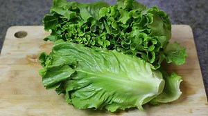 夏季生菜这么做最好吃，不煮也不炒，一次几斤不够吃，特脆嫩