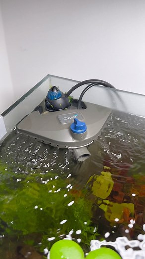 Kevin | Aquascaper | Germany on Instagram: "My favorite internal filter, the Oase Bioplus Thermo. So easy to setup and it has a adjustable flow, perfect to set it up to your and your fishes needs. It also comes with a heater that can be hidden inside the filter and if not needed can be easily removed. My filter is running since january 2023 and even after a year it‘s still running perfect. @oase_living_water Advertisement #aquarium #fishtank #fish #aquascape #oase"