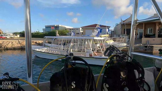 🎣🎣 LIONFISH HUNT WITH THE CREW 🎣🎣 Lionfish are native to the Indo-Pacific, but are an invasive species in many other parts of the world including Bonaire. They do not have natural predators here and cause great harm to fish populations and coral reefs. The crew of Dive Friends Bonaire took the initiative to remove lionfish from our local reefs last week, which resulted in the removal of 23 lionfish. ⚠️ Please be advised that the hunting of lionfish is only permitted when you have the right p