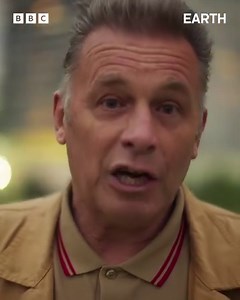 8.8K views · 474 reactions | In the very near future our species will need to reach the zenith of its achievements, and all humanity will have to learn to put our Earth first. If we don't, life on this planet will continue – but there will be no encore for humanity. #Earth concludes with 'Human' tonight on BBC Two at 9pm, or watch now on iPlayer | Chris Packham | Facebook