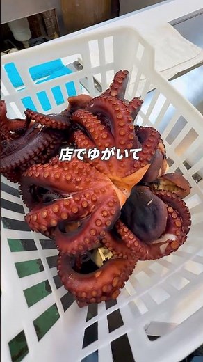 長年地元に愛された玉子焼のお店「てんしん」