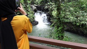 Borneo Wildlife Series - The Red Leaf Monkey of Tawau Hills Park, Sabah, Malaysia Borneo. | Sabah Parks