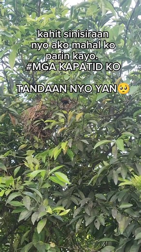 #sadstory #lifestory | Boss Mj Rfi