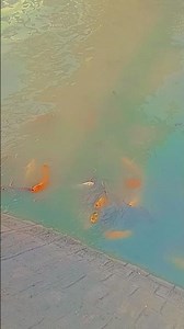 🎈🎈❤️❤️👌👌👌