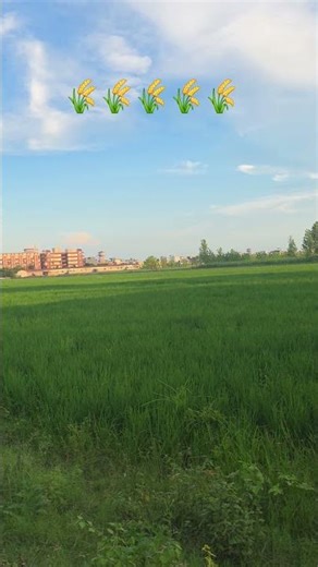 Kisan former #viral video