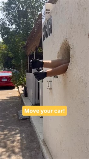 Guess where? 💰 🕳 | Coco Co