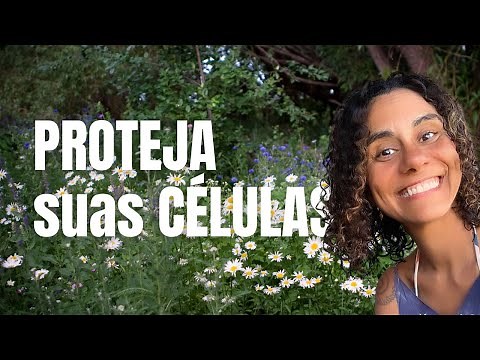 DDR prime - PROTEJA AS SUAS CÉLULAS