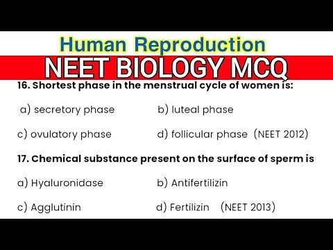 Human Reproduction Class 12 MCQ | NEET Biology MCQ | Most Expected Questions