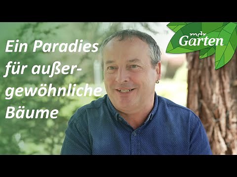 Der Mammutgarten in Elstra | MDR Garten