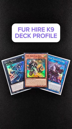 FUR HIRE K9 DECK PROFILE - MARCH 2026