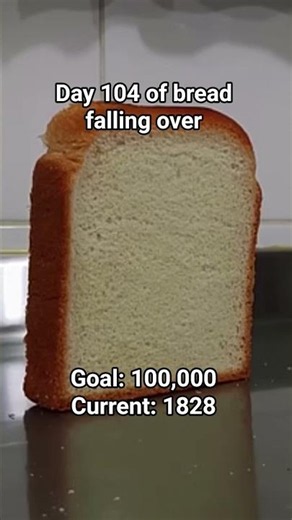day 104 of bread falling over #bread #falling #over #breadfallingover
