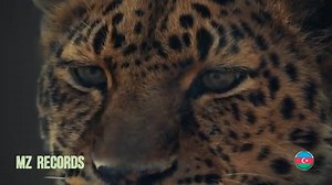 5.3K views · 67 reactions | Kamro & Enisa - Alah Alah Ya Baba - (music video) | MUSIC DANCE | Facebook