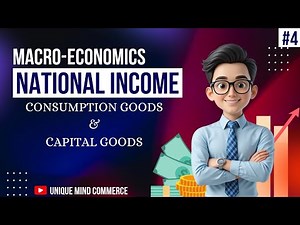 Consumer Goods Capital Goods | Two Way Classification of Goods | Macro Economics | National Income