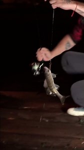 It seemed like nothing was biting… until this happened!