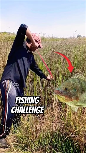slingshot fishing challenge 🎯 | fishing darts #slingshot #fishing #shortsfeed
