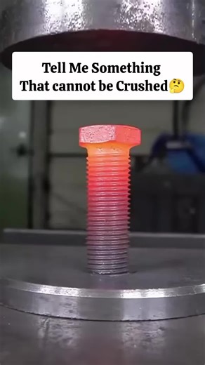 Mastering DIY with the Diamond Press Hydraulic Press