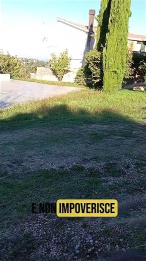 La forza del bambù: come Bamgoboo crea prodotti sostenibili 🌱