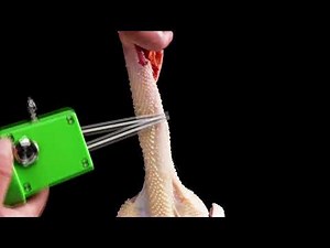 Proshine handheld chicken plucker