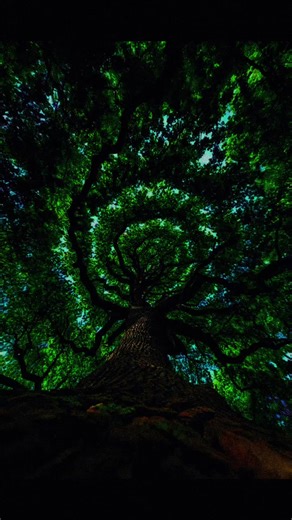 Ed Sheeran's 'Shape of You' Analysis and Insights