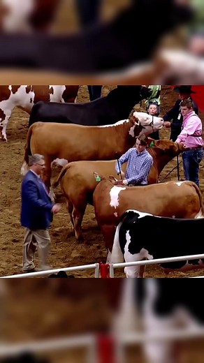 5.9M views · 10K reactions | We are celebrating national FFA week by looking back on some of our favorite moments! #wrangler #longlivecowboys #longlivecowgirls #FFAWeek | Wrangler Western | Facebook