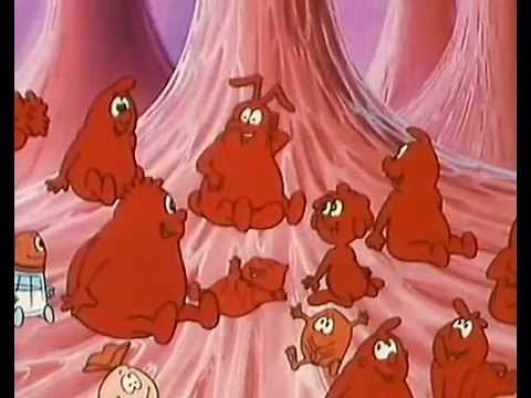 Once upon a time... Life - The heart (1 of 3)