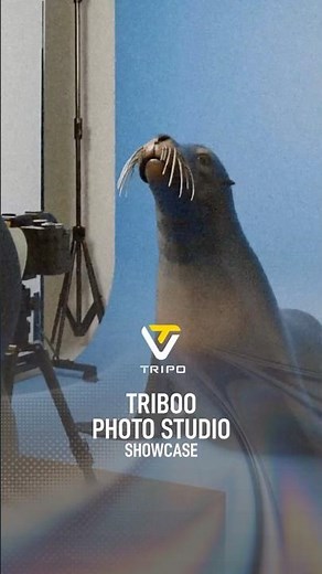 Tripo x Blender | Behind the Scenes of the Chaotic Seal Photoshoot 🦭