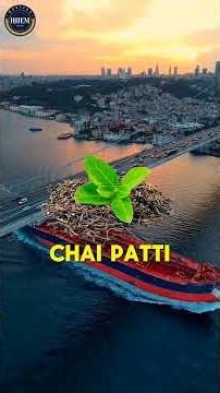 Assam tea — the bold Indian export behind powerful blends worldwide.