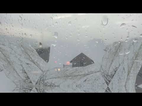 Bare Branches (Winter Dreamcore)