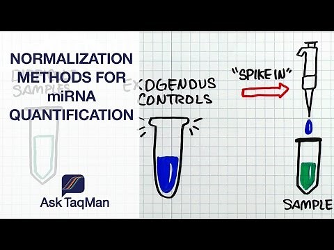 Normalization Methods of miRNA Quantification - Ask TaqMan #40