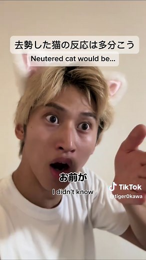 猫の去勢手術後の反応と対策