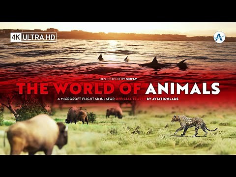 SoFly | Animals for MSFS UPDATE | Microsoft Flight Simulator [Official Teaser]