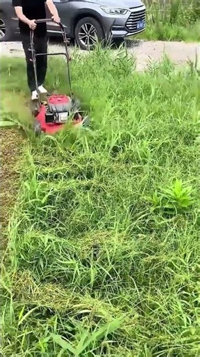Afternoon field maintenance: Clearing grass and tall brush in Shandong China