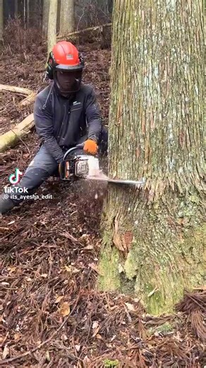 فيديوهات أنشأها Bad,naseeb, (@badnaseeb472) باستخدام original sound - Bad,naseeb,