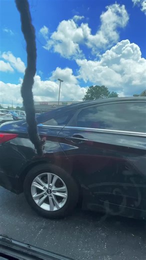 A bumblebee on my hair #foryoupage | bumblebee