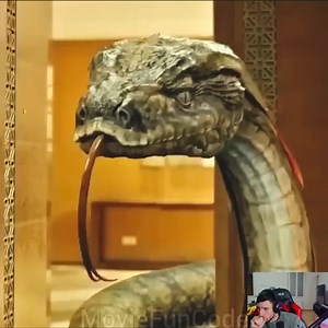 🤯 Python sème la panique à l'école ! #films #filmreview #cinema #movie Music Title: Simulacra Artist: Paul Fowler Link: https://business.facebook.com/sound/collection/?sound_collection_tab=sound_tracks&asset_id=945878313567066&reference=artist_attr | Décoder le Cinéma