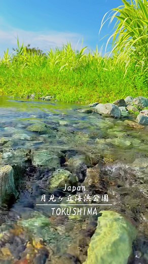 月見ヶ丘海浜公園の魅力と楽しみ方