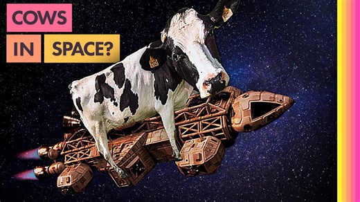Why you can’t bring cows to Mars