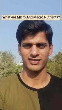 What Are Micro And Macro 🥜 Nutrients? #shorts #Gym #fitness #diet #motivation#balancenutrition